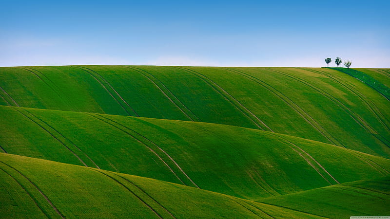 Green field, 2020, day, grass, logo, nature, new, sky, windows xp, HD  wallpaper | Peakpx