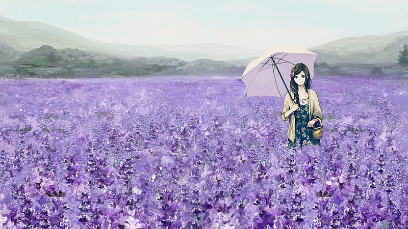 Lavender flowers field, Purple, Anime, Umbrella, Girl, Field, Flowers, HD wallpaper Lavender flowers field, Purple, Anime, Umbrella, Girl, Field, Flowers, HD wallpaper