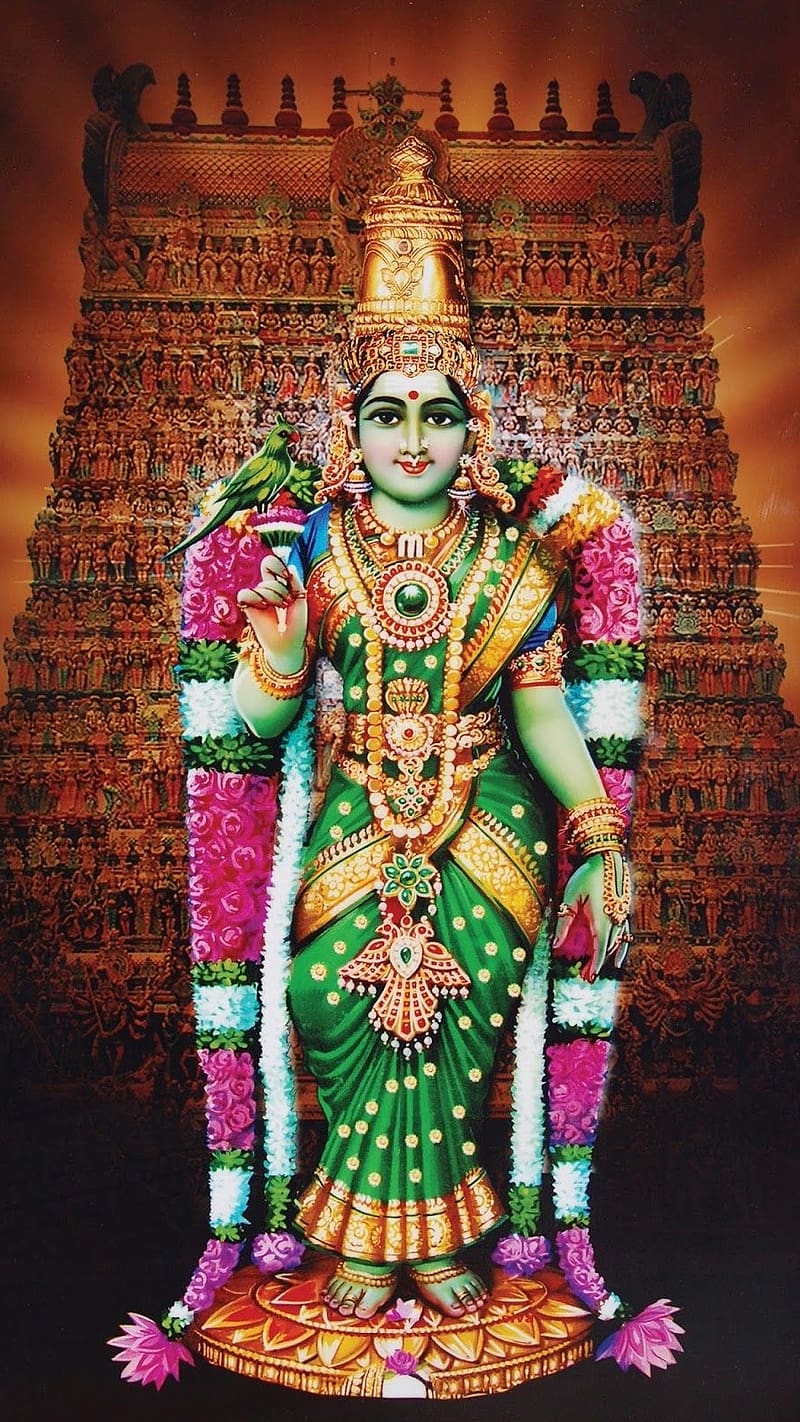 Meenakshi Amman God Madurai Meenakshi god lord madurai meenakshi HD  phone wallpaper  Peakpx