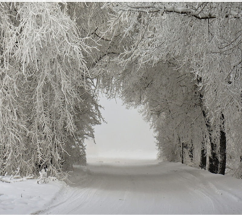 winter, landscape, nature, snow, HD wallpaper