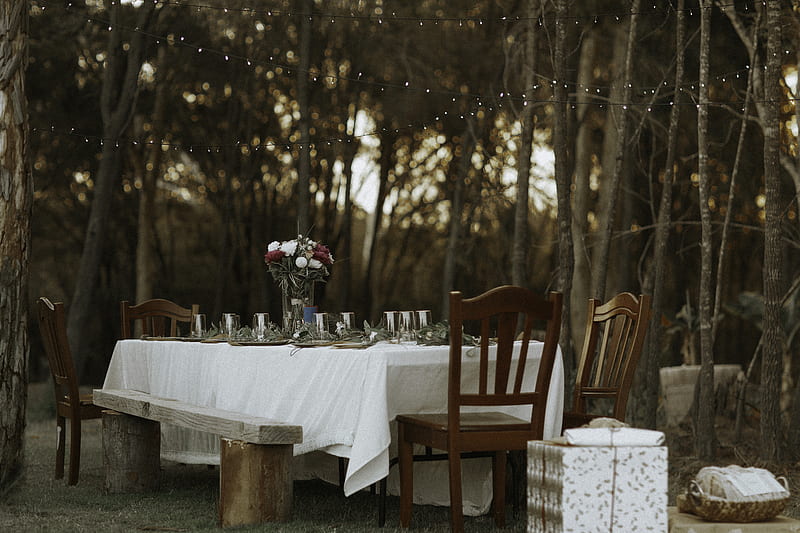 dining table and chairs set in the middle of the woods, HD wallpaper