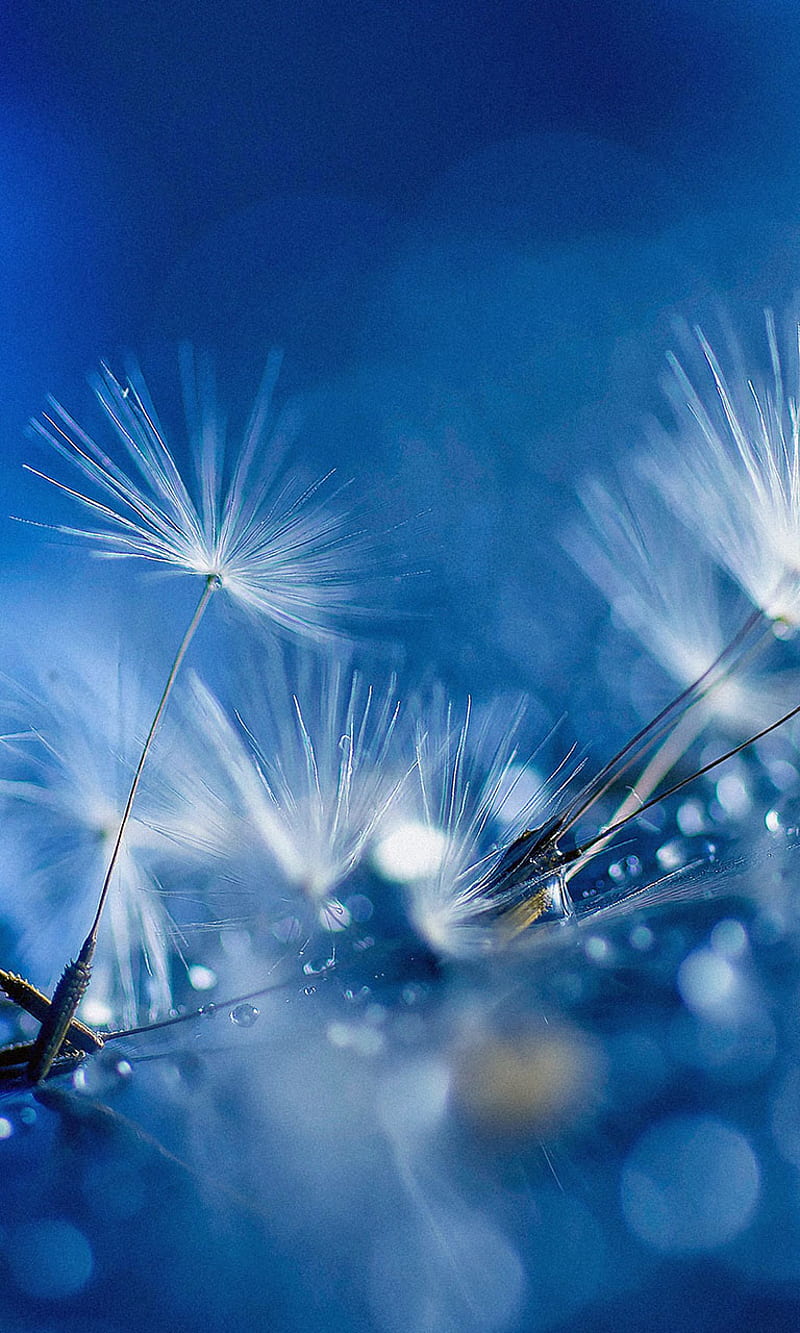HTC M8, HD phone wallpaper HTC M8, HD phone wallpaper