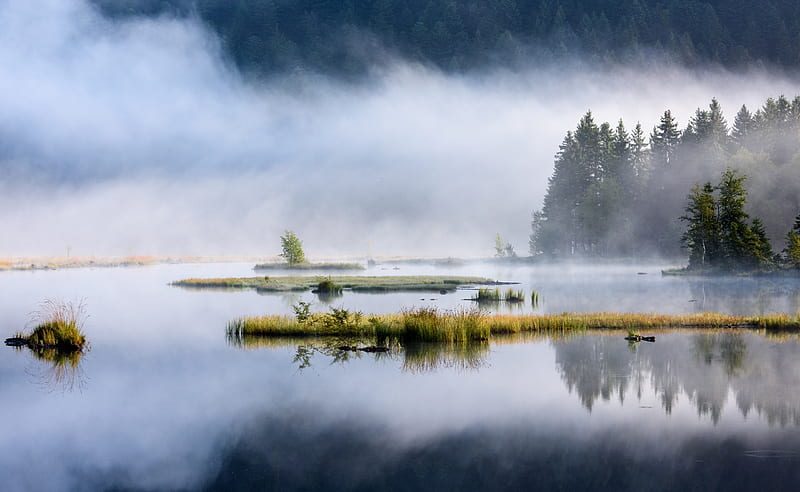 Forest Lake, Nature, Mist Ultra, Nature, Lakes, Landscape, Wild ...
