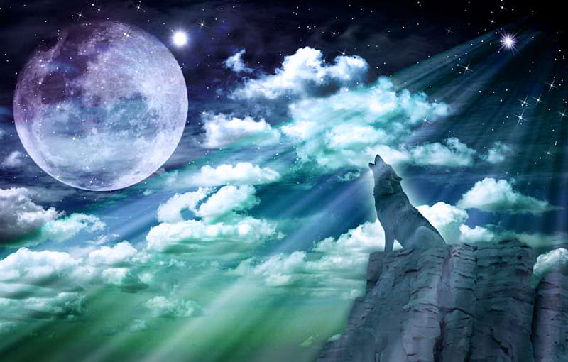 Moon song, stars, moon, moonlight, cliff, wolf, clouds, howling, night, HD wallpaper