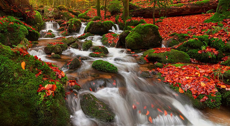 Nature, Fall, , Stream, HD wallpaper | Peakpx