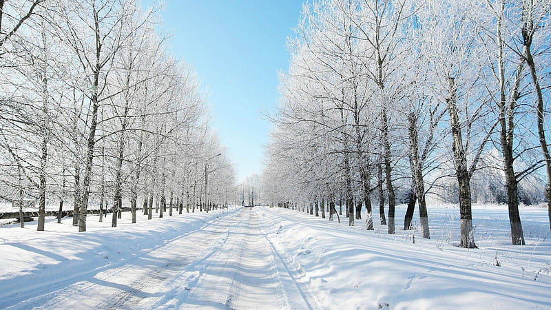 snowy road-winter scenery, HD wallpaper