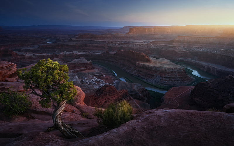 American canyon, rocks, evening, sunset, gorge, Grand Canyon, Colorado, Arizona, USA, HD wallpaper