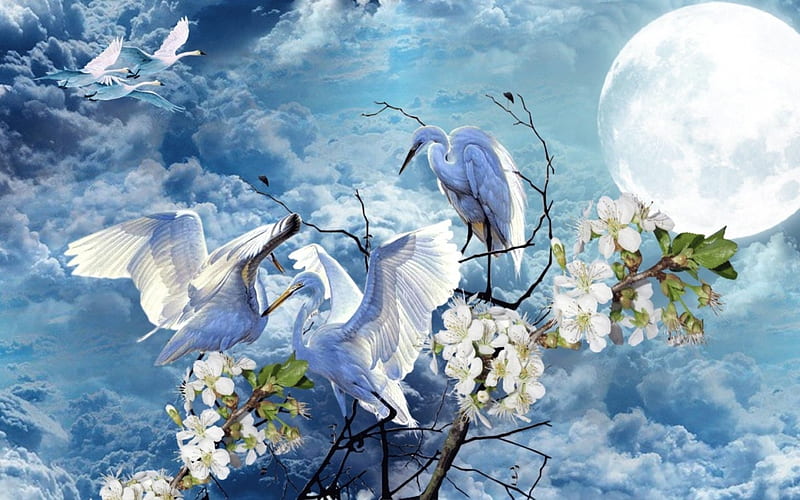 Moonlight, art, moon, luminos, crane, spring, blossom, moon, bird, painting, flower, white, pictura, blue, night, HD wallpaper