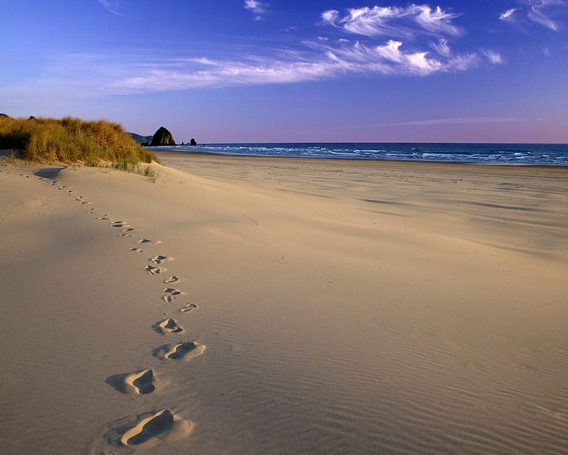 footsteps on sand, beach, sand, summer, bonito, footsteps, sky, relaxing, sea, HD wallpaper