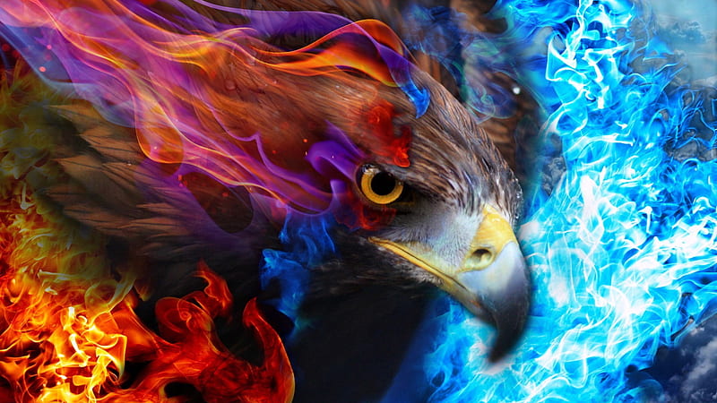 Eagle Fire Sky Fire, HD wallpaper