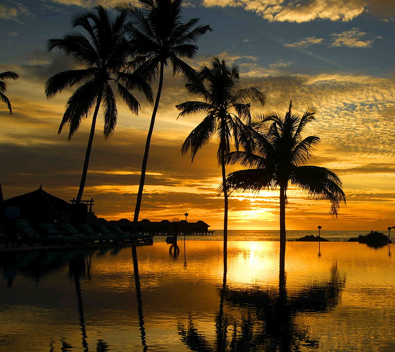 Ending Reflections, sunset, tropical, tropical beach, tropical beach ...