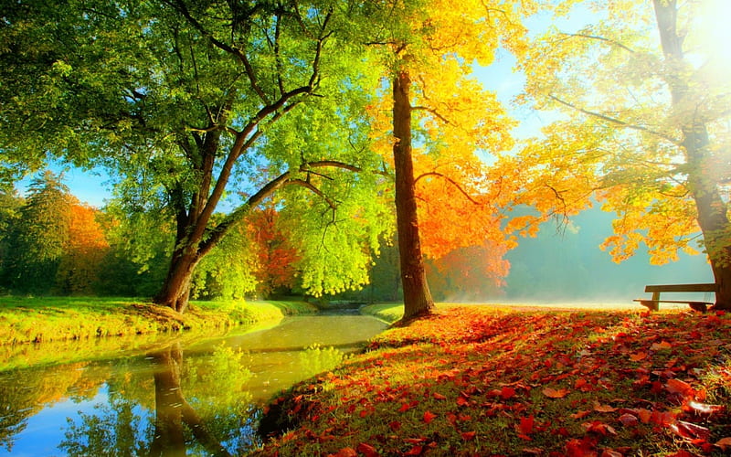 River in Autumn Park, nature, Park, Autumn, River, HD wallpaper | Peakpx