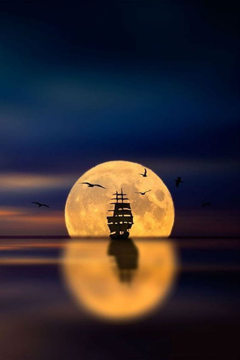 Pirates dream, ship, sailing, pirate, yellow, moon, sea, ocean, birds, sail, night, HD phone wallpaper