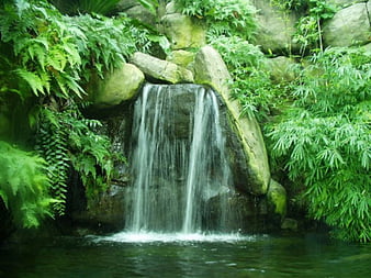 Forest Waterfall, water, stone, green, waterfall, nature, trees 