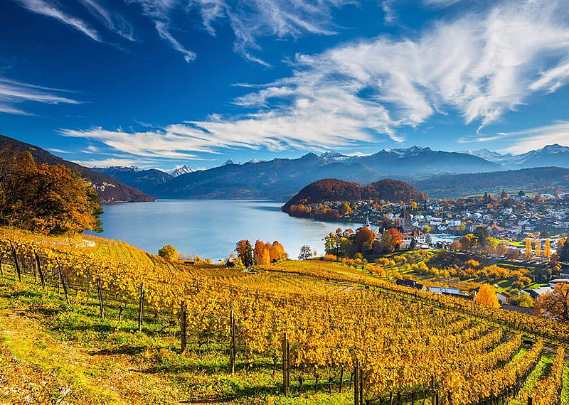 Vineyards, sky, plants, hills, autumn, mountains, river, clouds, HD wallpaper