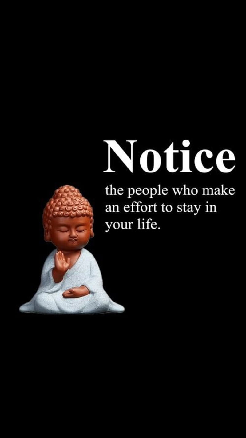 HD buddha quotes wallpapers | Peakpx