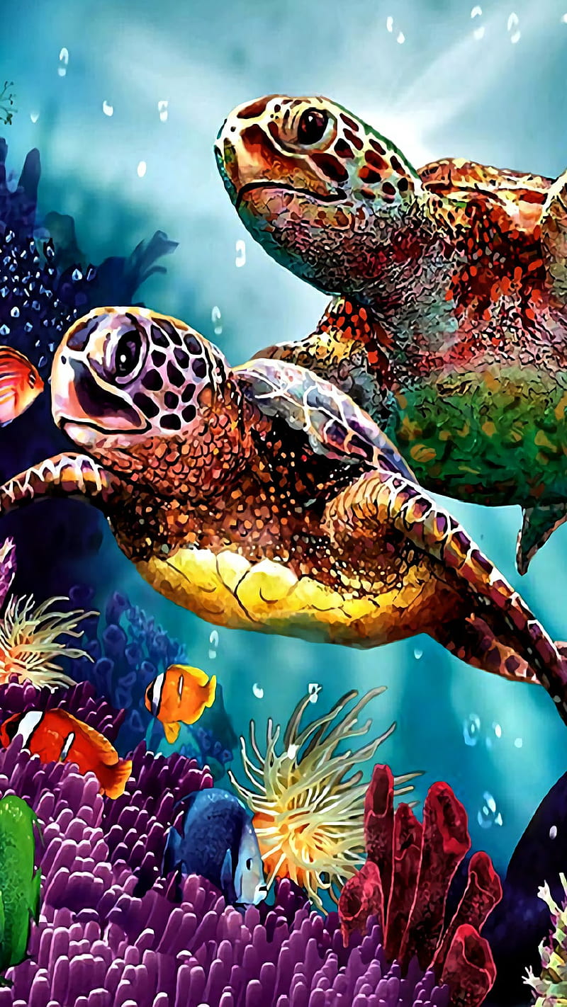 sea, turtles, HD phone wallpaper