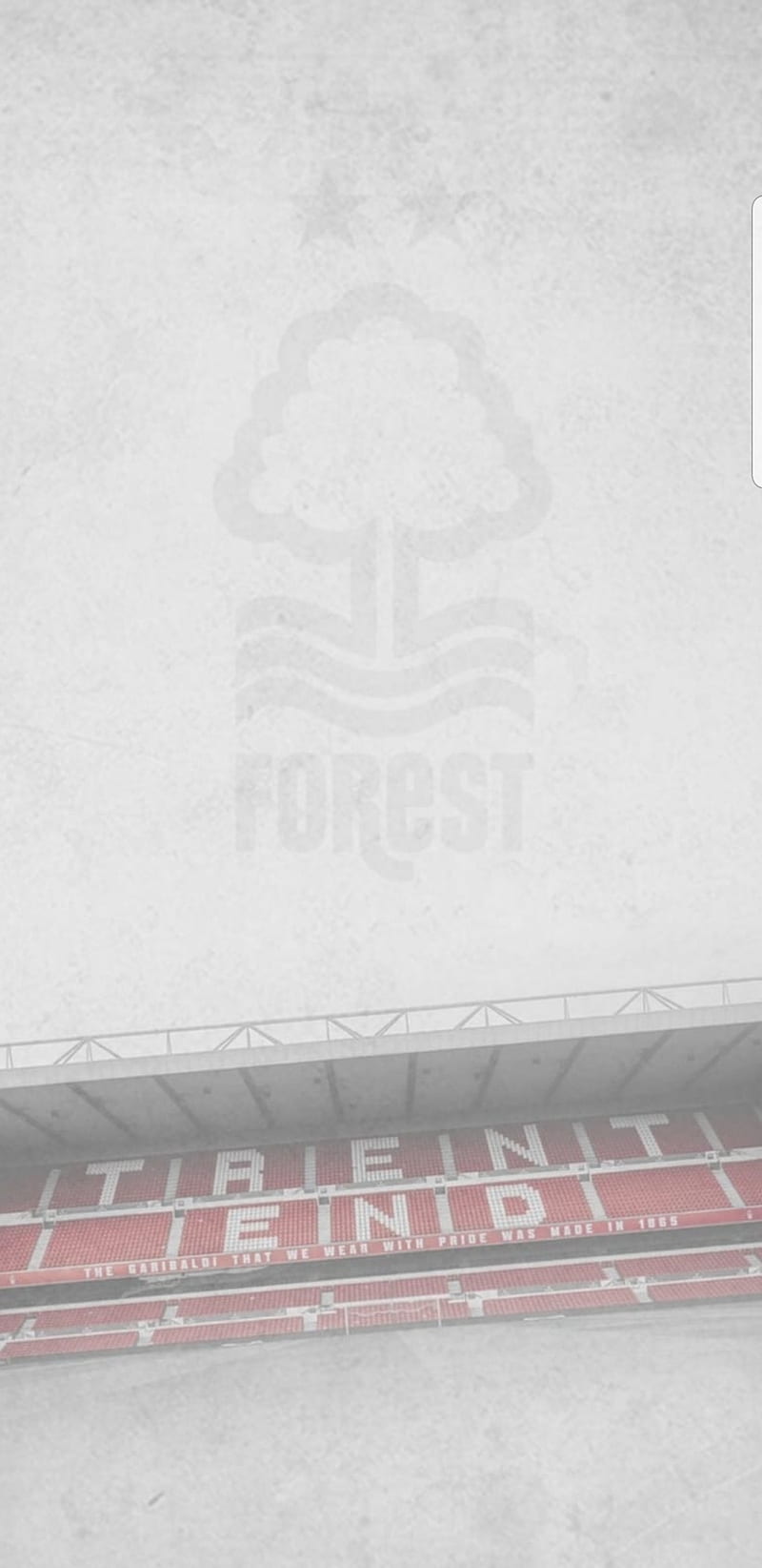 Nottingham Forest, football, HD phone wallpaper