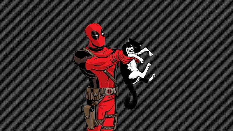 Deadpool Funny, cat, deadpool, funny, marvel, movie, HD wallpaper