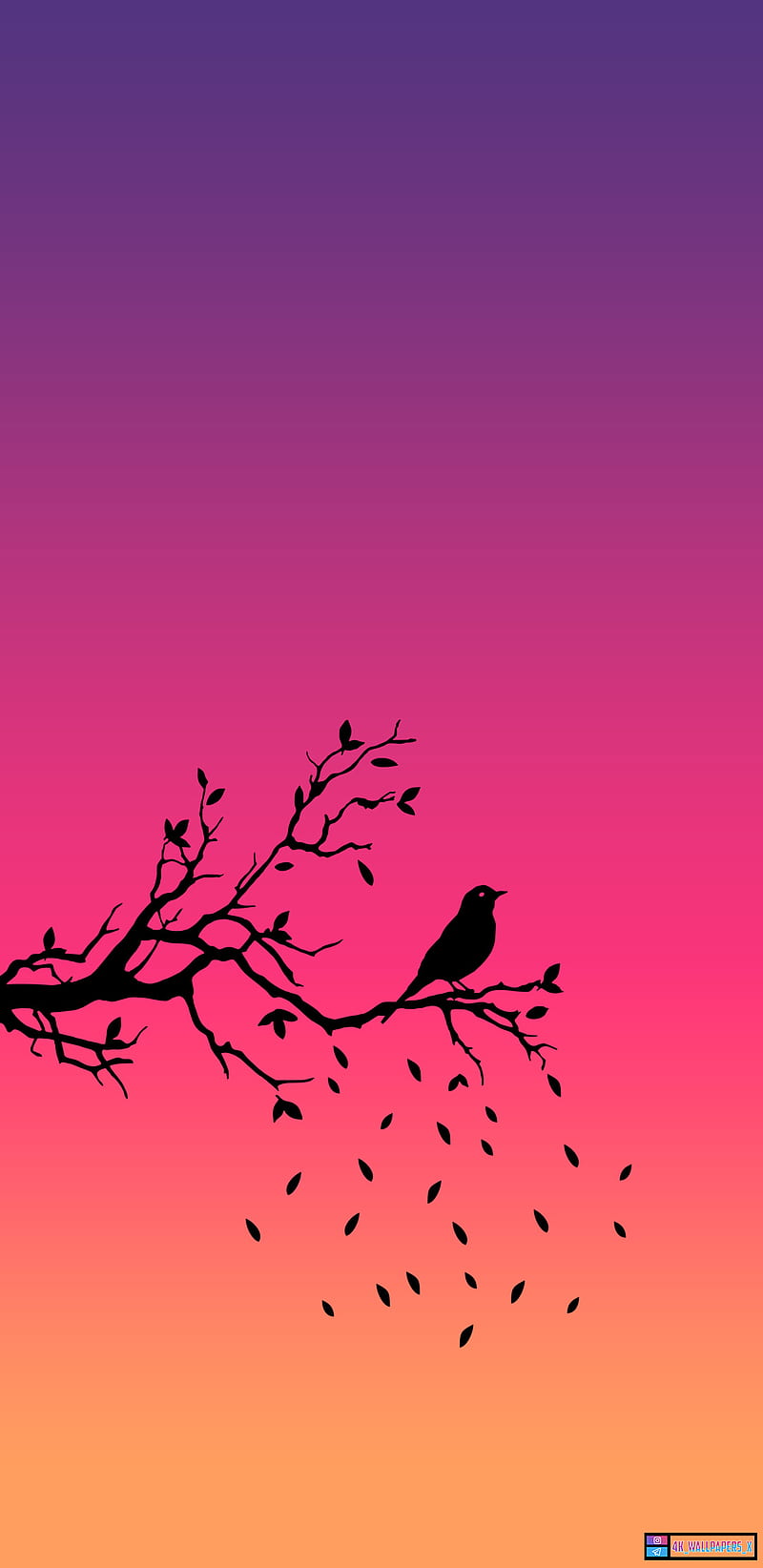 Bird, alone, boy, evening, heart, lonely, love, morning, sparrow, sunset, HD phone wallpaper