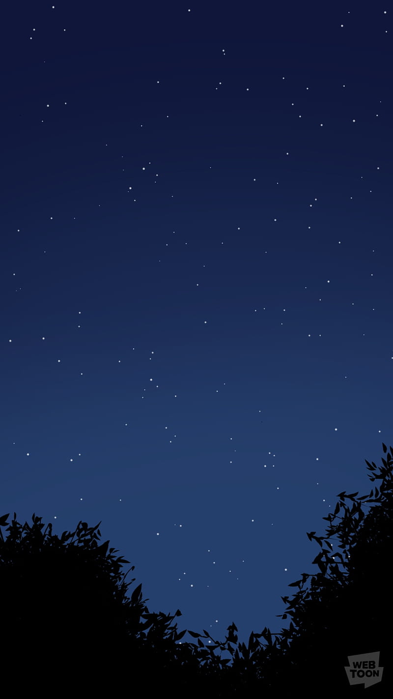 Night , beauty, sky, stars, webtoon, HD phone wallpaper