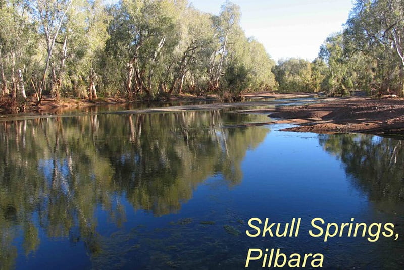 Skull Springs, Pilbara, australia, gum trees, skull springs, HD wallpaper