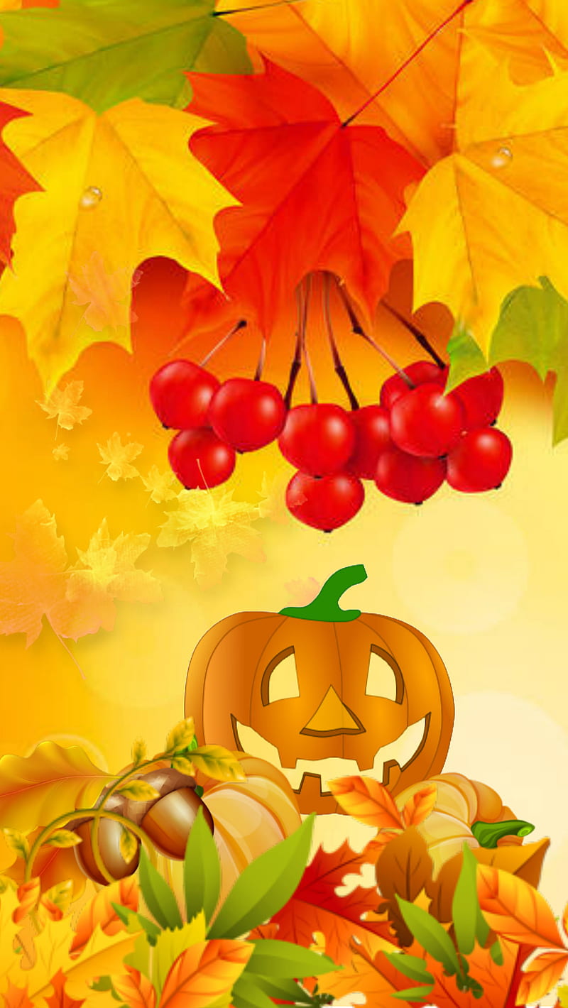 Pumpkin, abstract, autumn, leaf, orange, HD phone wallpaper | Peakpx