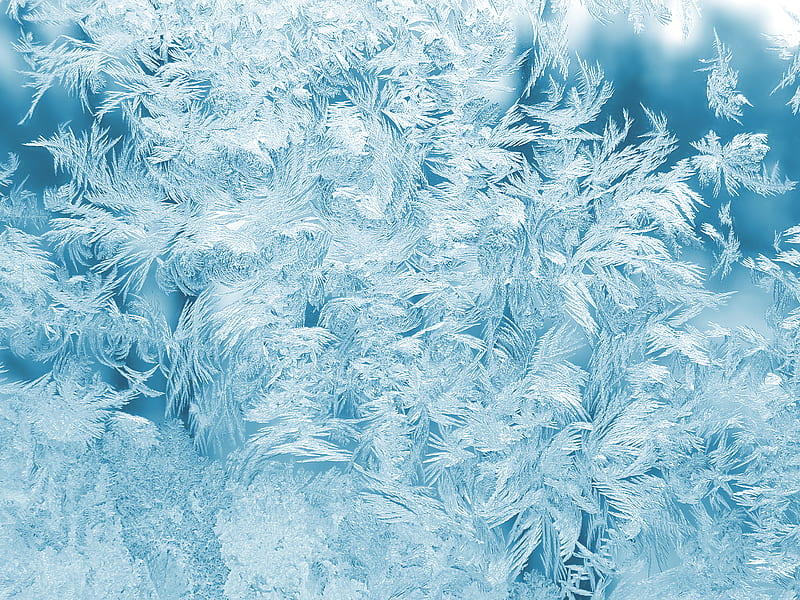White Feathers Illustration, HD wallpaper