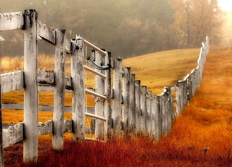 Fence line, farm, fence, rural, autumn, timber, nature, field, HD wallpaper