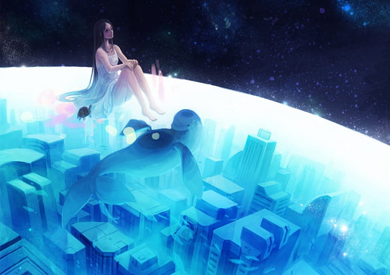 Friends 4 ever, pretty, dress, cg, game, bonito, animal, sweet, nice, city, anime, beauty, anime girl, long hair, blue eyes, friends, black hair, night, stars, female, smile, turtle, sky, cute, water, dolphin, cool, awesome, aka tonbo, HD wallpaper