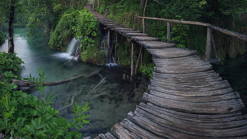 wonderful wooden bridge over a river falls, forest, bridge, river, wooden, falls, HD wallpaper