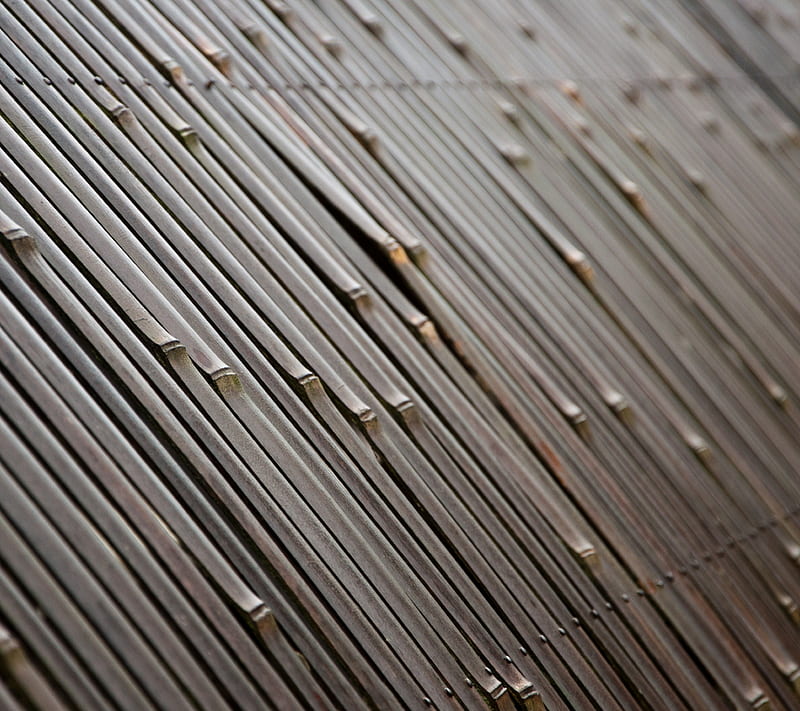 BAMBOO, texture, HD wallpaper