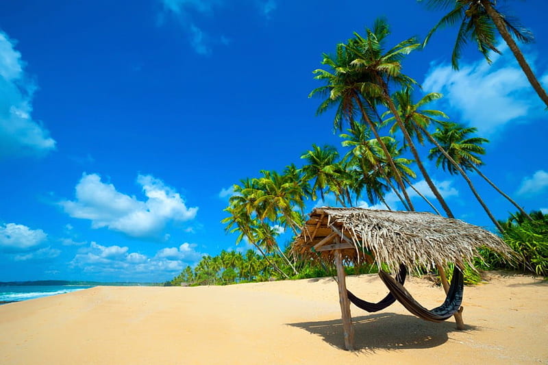 Sri Lanka beach, hut, shore, travel, bonito, sea, beach, Sri Lanka, blue, vacation, exotic, lovely, ocean, sky, palms, paradise, summer, island, sands, HD wallpaper