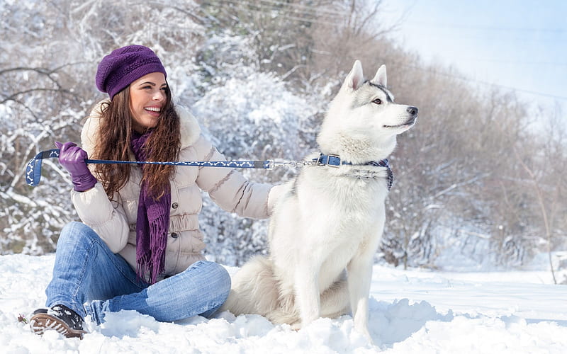 dog, girl, snow, winter, leash, HD wallpaper