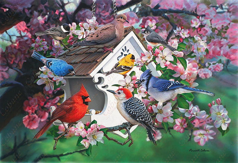 Among the Apple Blossoms, tree, painting, birds, bluejay, dove, goldfinch, cardinal, artwork, woodpecker, HD wallpaper