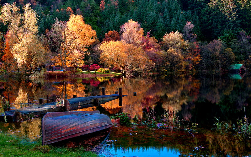Splendor, pretty, shore, house, grass, orange, autumn leaves, sunset, magic, mirrored, mountain, nice, boat, boats, beauty, reflection, forgotten, lovely, houses, trees, weather, water, paradise, landscape, fall, colorful, autumn, woods, bonito, leaves, dock, green, at, color, autumn splendor, river, mirror, abandoned, forest, amazing, view, pier, colors, lake, waters, tree, autumn colors, peaceful, summer, nature, lakeshore, HD wallpaper