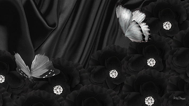 Black Silk Black Butterflies, flowers, satin, jewels, black and white,  butterflies, HD wallpaper | Peakpx