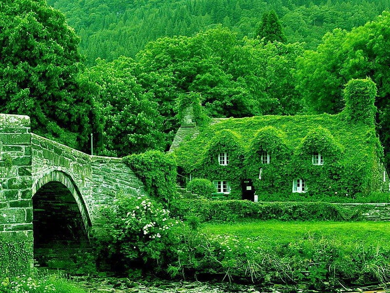House in Green, bridge, houses, beautiful nature, in green, HD wallpaper |  Peakpx