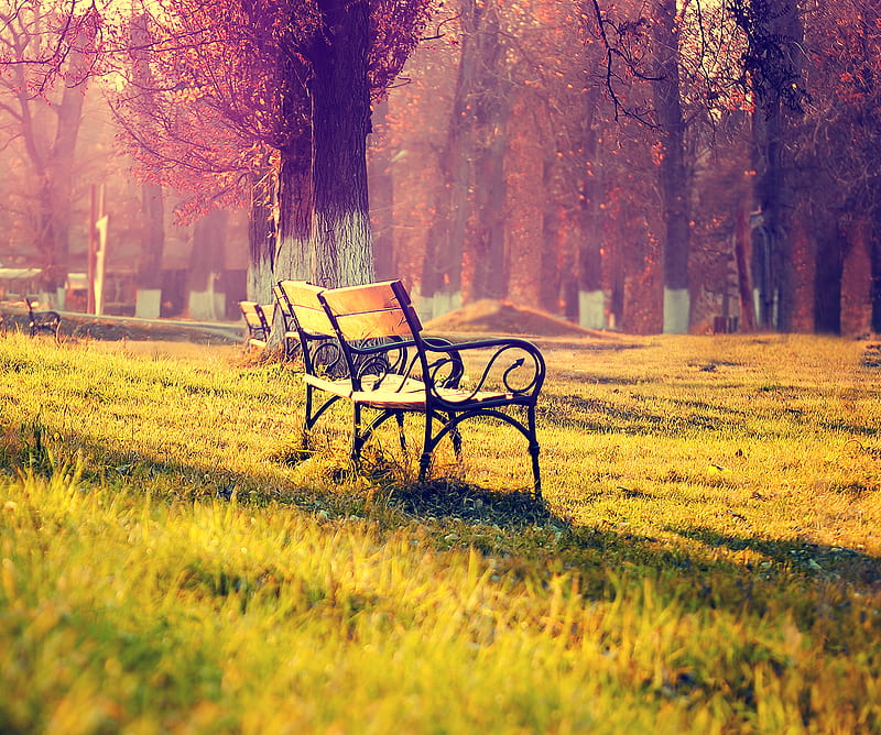 Bench in the park, autumn, HD wallpaper