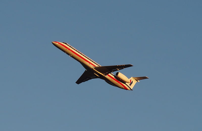 Firebird Flight, plane, airplane, flight, commercial aircraft, jet plane, jet, firebird, HD wallpaper