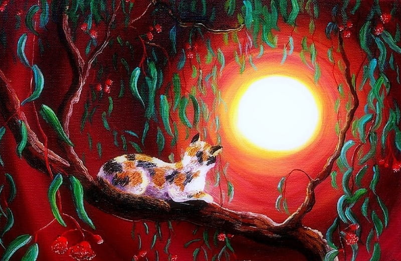 Cat in Eucalyptus Boughs, moons, draw and paint, colors, love four seasons, trees, cute, paintings, cats, animals, HD wallpaper