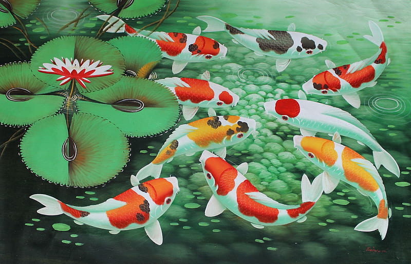 Koi, vara, water, fish, green, pesti, orange, summer, HD wallpaper
