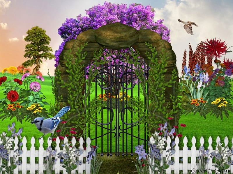 THROUGH GATE INTO GARDEN, CREATION, BIRDS, GATE, FLOWERS, HD wallpaper
