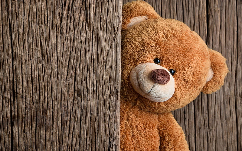 cute teddy bear, toy, bears, wooden boards, HD wallpaper