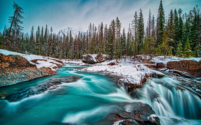 Kicking Horse River, mountain river, winter, snow, forest, blue river, Yoho National Park, British Columbia, Canada, HD wallpaper