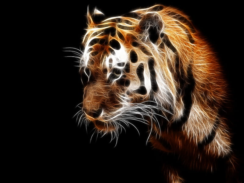 Yo tiger, the greatest, the best, HD wallpaper | Peakpx