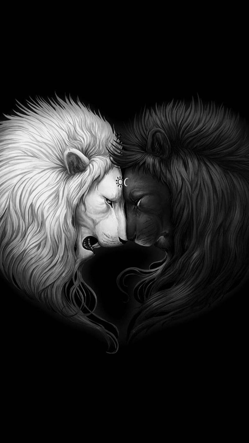 Sun and Moon Lions, lion, HD phone wallpaper