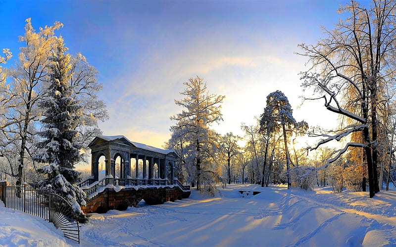 A winter scene, Structure, Trees, Snow, Sunlight, HD wallpaper