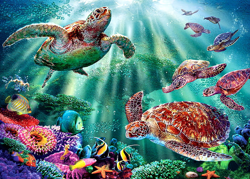 Turtle Bay F, turtles, art, fish, ocean, bonito, illustration, artwork, sea, high seascape, painting, wide screen, scenery, HD wallpaper