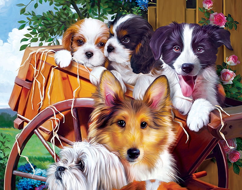 Puppies, art, border collie, caine, collie, painting, pictura, dog, puppy, HD wallpaper